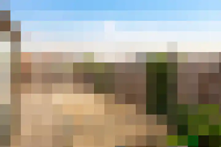 Nieuwe Barteldweg 20 Twello thumbnail 15