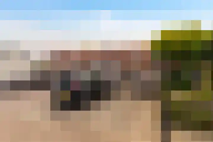 Nieuwe Barteldweg 20 Twello thumbnail 17