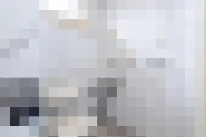 Nieuwe Barteldweg 20 Twello thumbnail 20