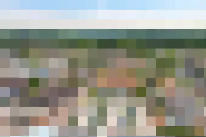 Nieuwe Barteldweg 20 Twello thumbnail 21