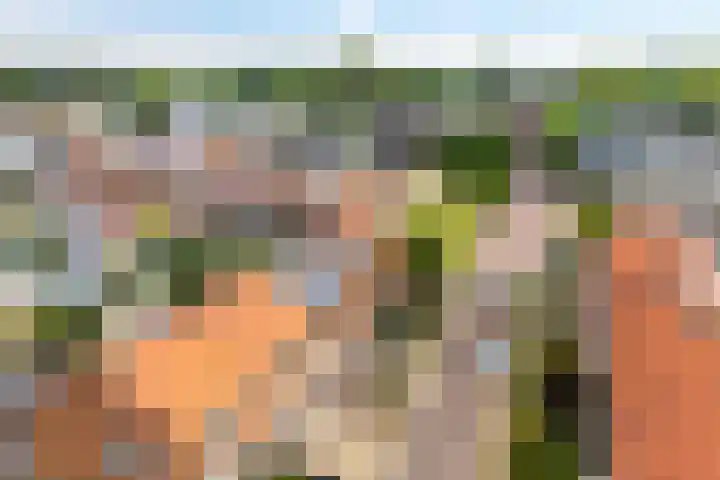 Nieuwe Barteldweg 20 Twello thumbnail 22