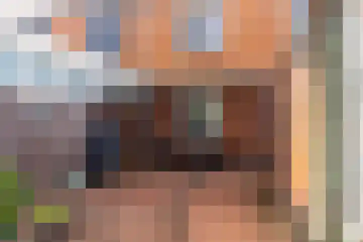 Nieuwe Barteldweg 20 Twello thumbnail 4