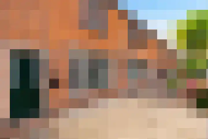 Nieuwe Barteldweg 20 Twello thumbnail 7