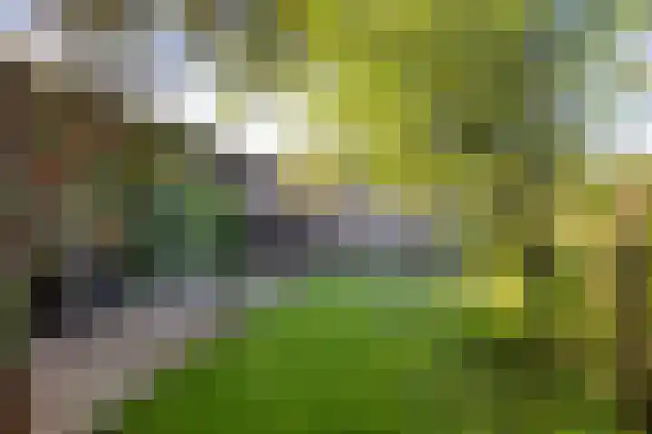 Nieuwe Barteldweg 21 Twello thumbnail 19