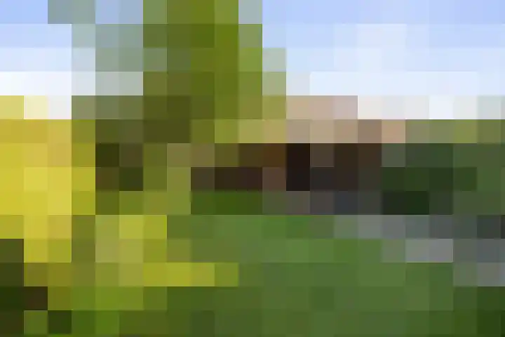Nieuwe Barteldweg 21 Twello thumbnail 20