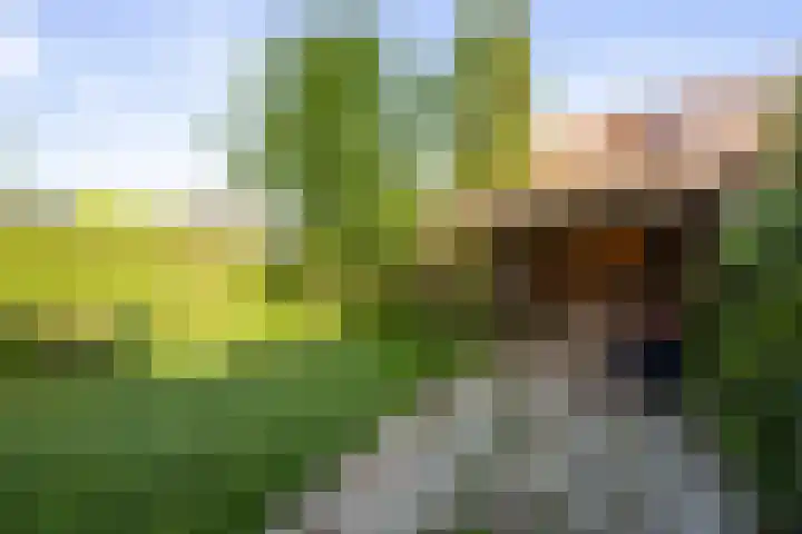Nieuwe Barteldweg 21 Twello thumbnail 21