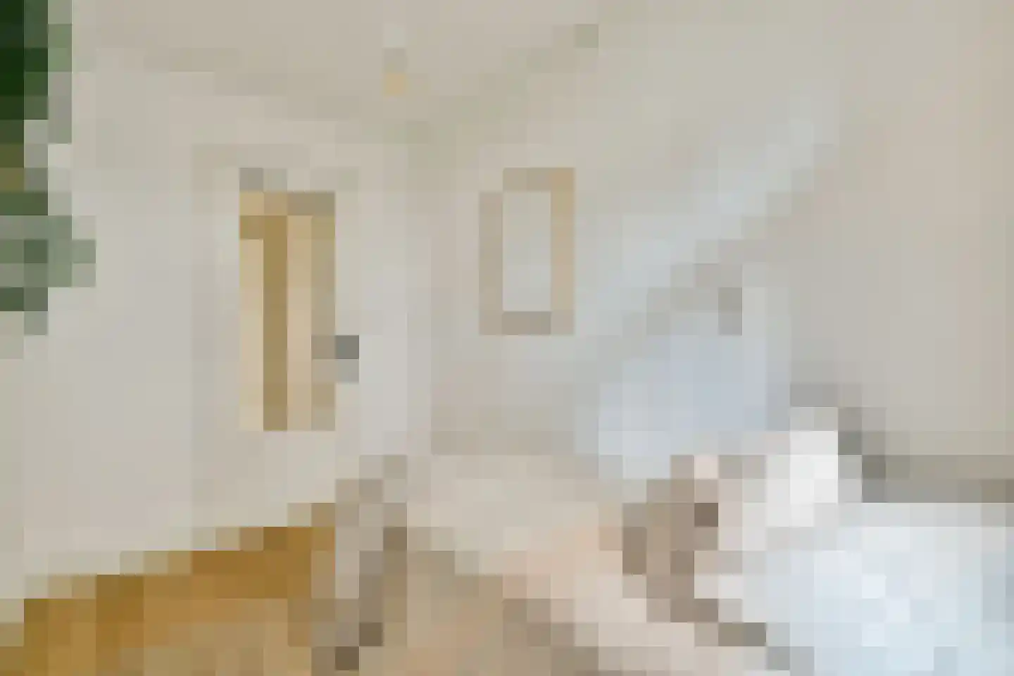 Nieuwe Batavierstraat 5 3 Amsterdam thumbnail 16