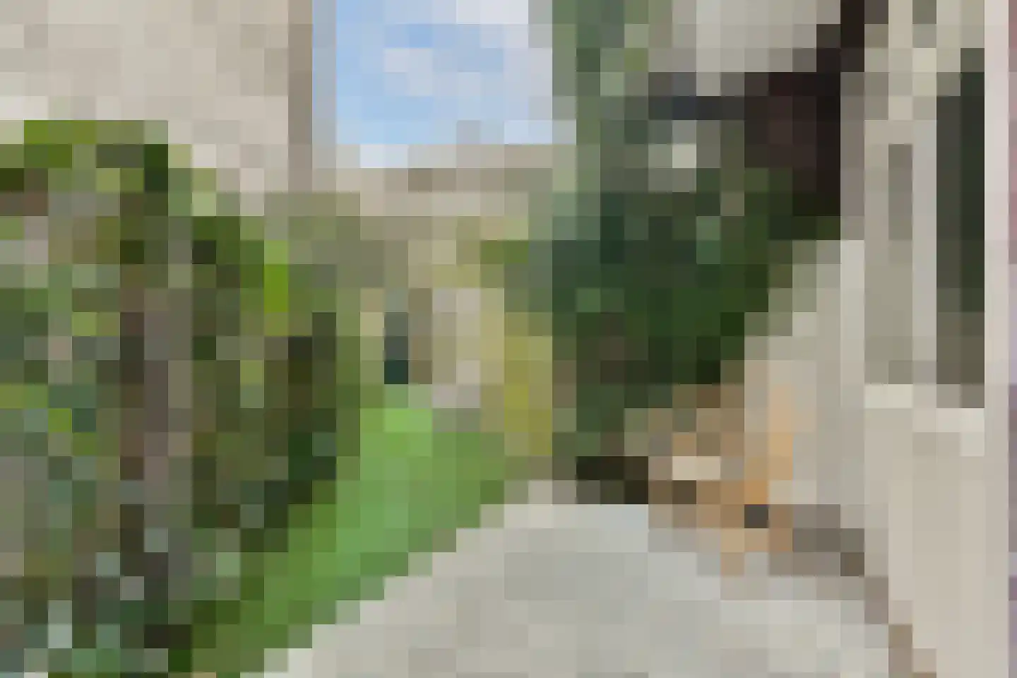 Nieuwe Batavierstraat 5 3 Amsterdam thumbnail 5