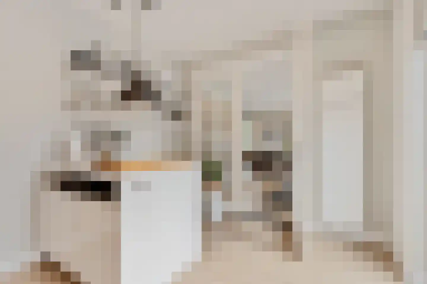 Nieuwe Beekhoek 10 Ulvenhout thumbnail 19