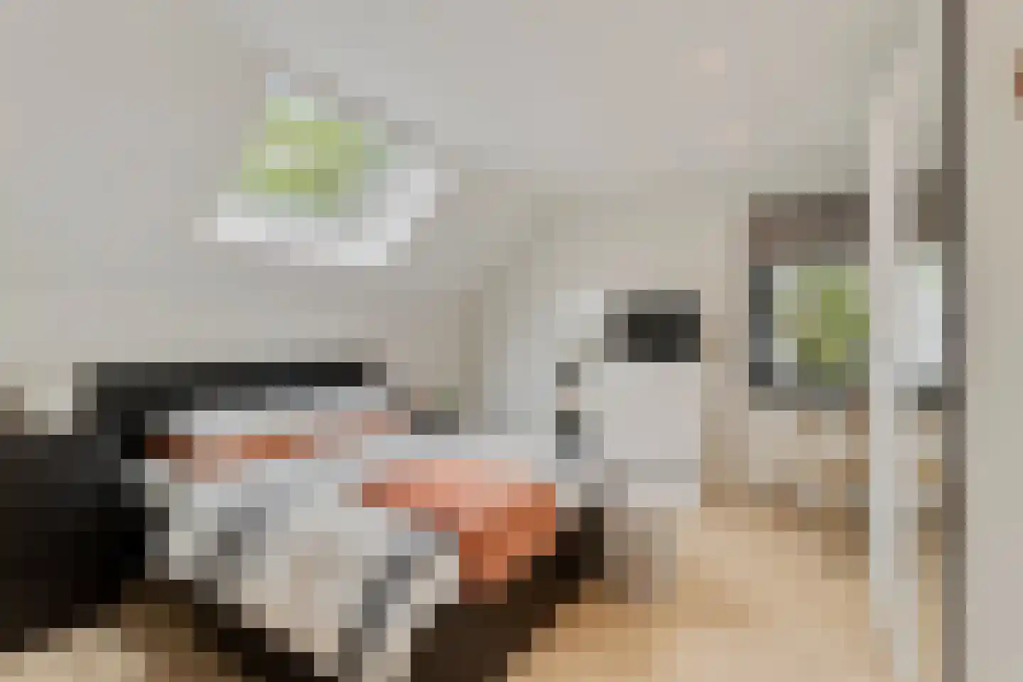 Nieuwe Beekhoek 10 Ulvenhout thumbnail 25