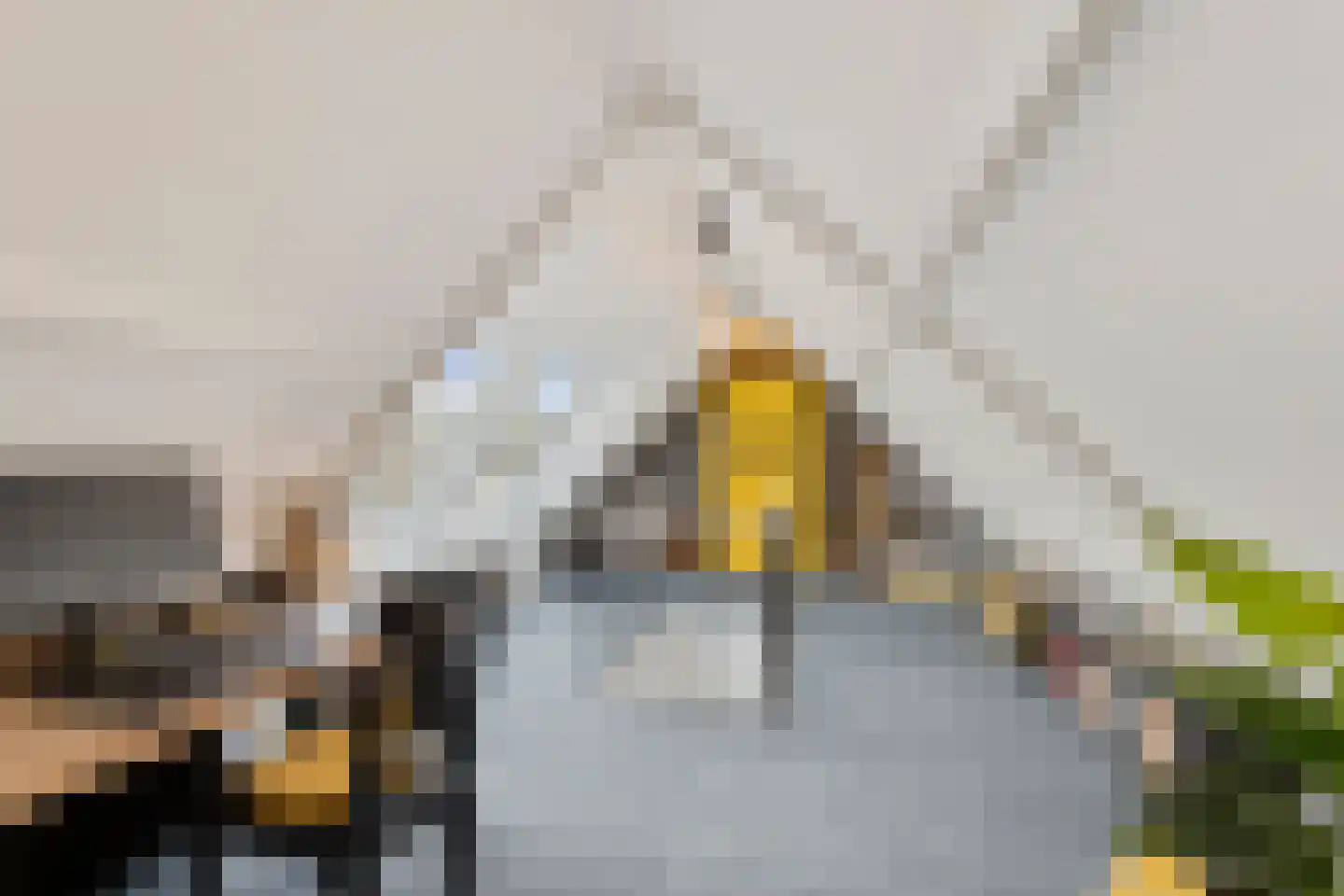 Nieuwe Beekhoek 10 Ulvenhout thumbnail 33