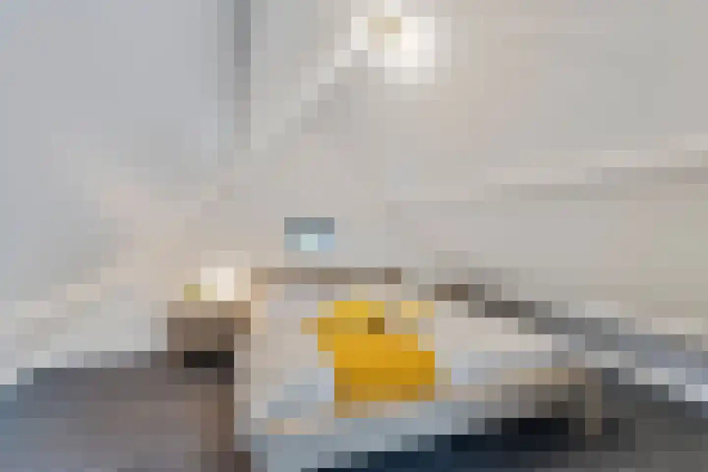 Nieuwe Beekhoek 10 Ulvenhout thumbnail 36