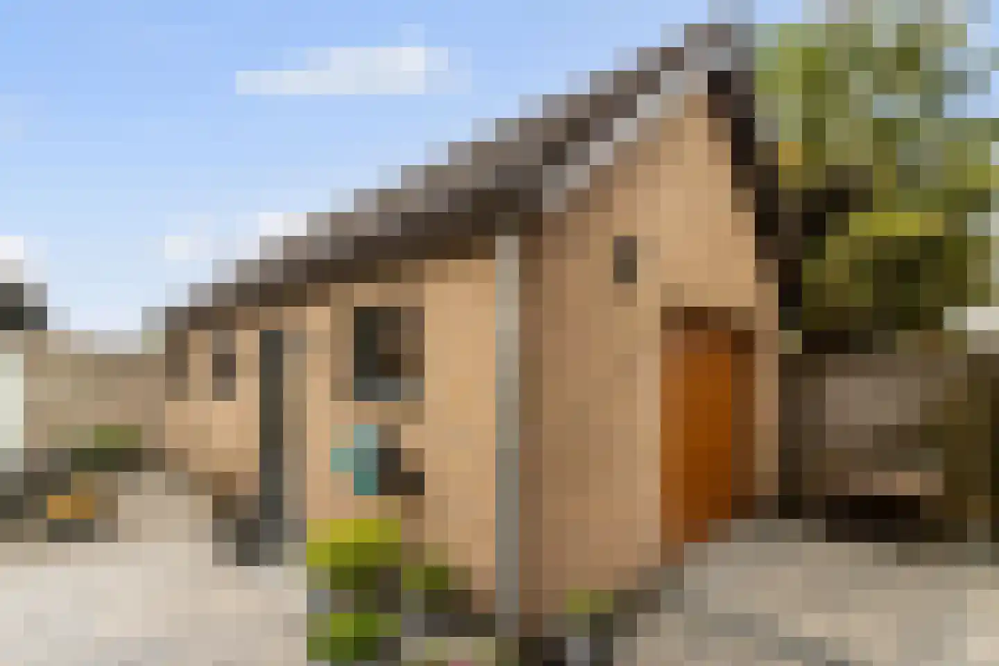 Nieuwe Beekhoek 10 Ulvenhout thumbnail 41