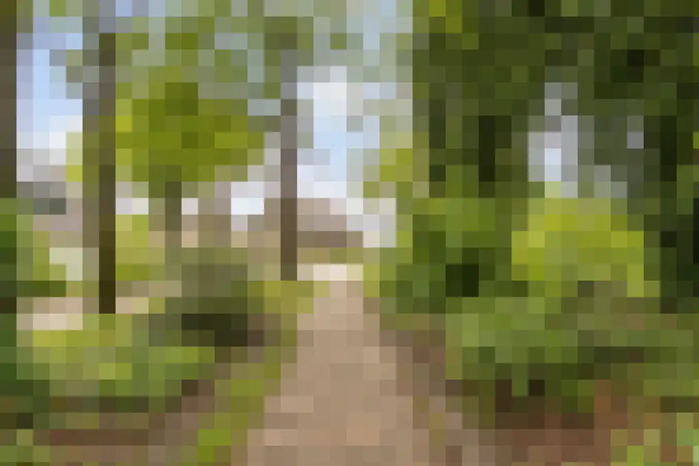 Nieuwe Beekhoek 10 Ulvenhout thumbnail 43