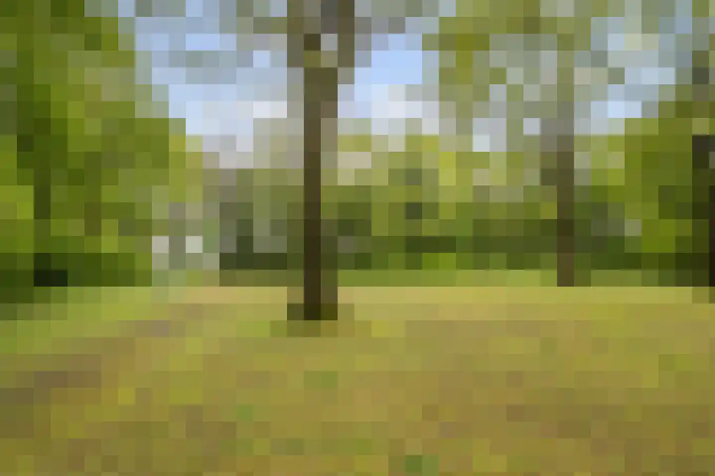 Nieuwe Beekhoek 10 Ulvenhout thumbnail 44