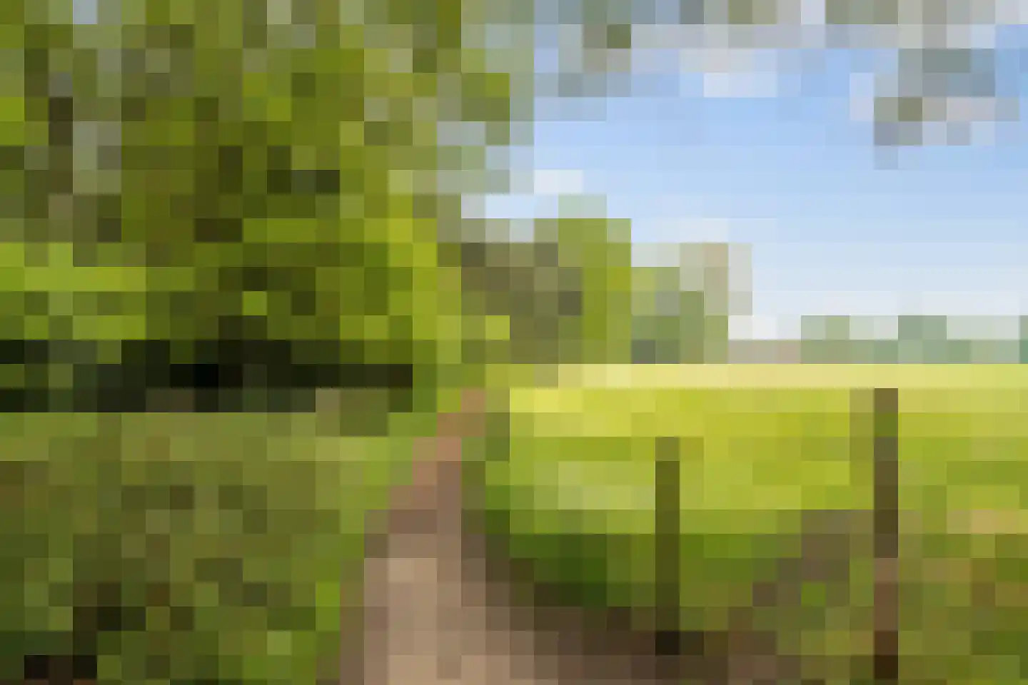 Nieuwe Beekhoek 10 Ulvenhout thumbnail 45