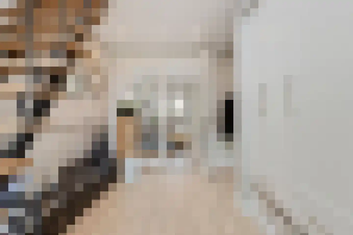 Nieuwe Beekhoek 10 Ulvenhout thumbnail 9