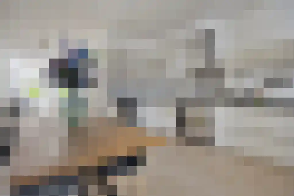 Nieuwe Binnenweg 02 Rotterdam thumbnail 4