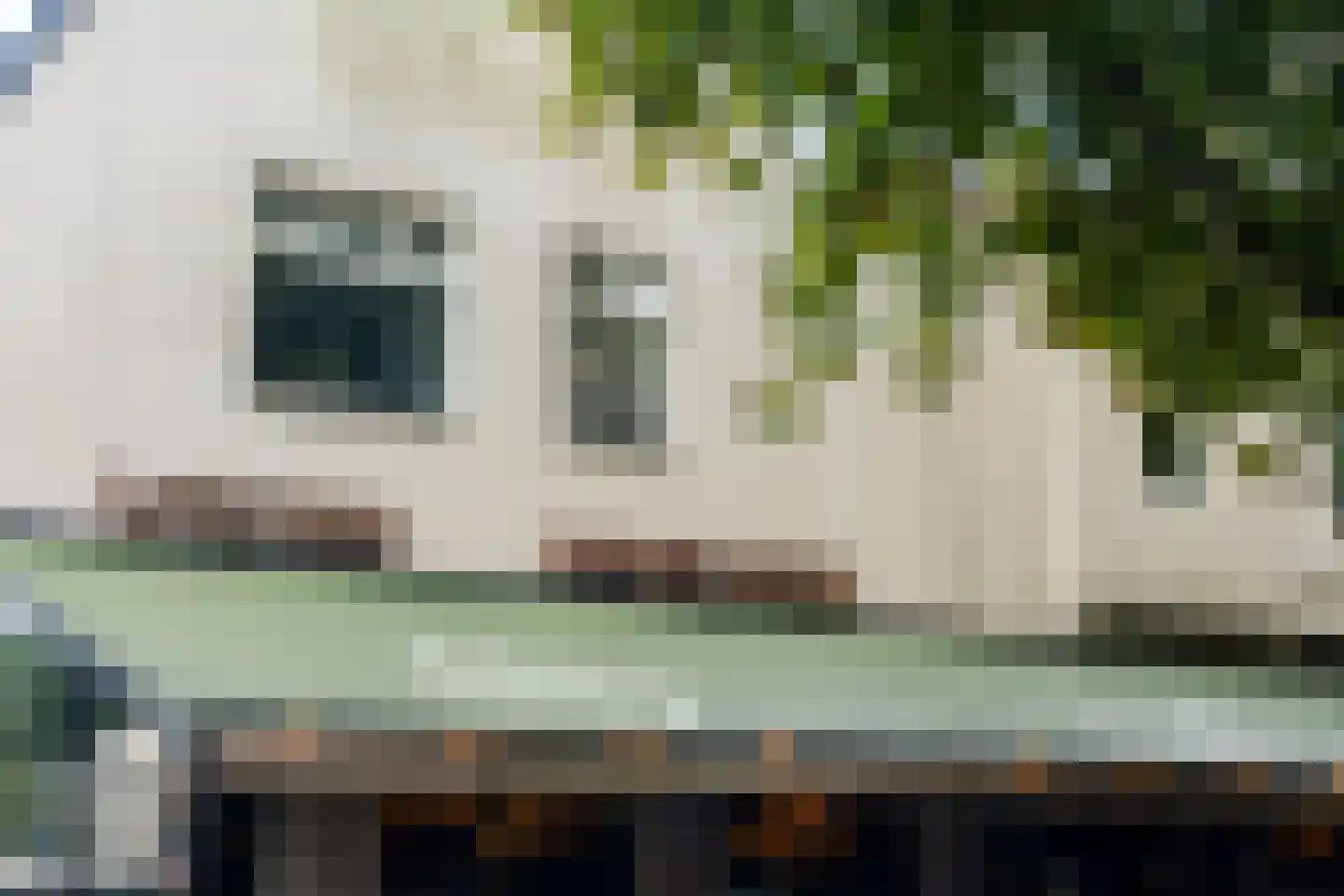 Nieuwe Binnenweg 03 Rotterdam thumbnail 67