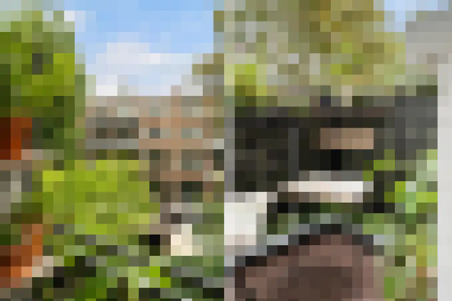 Nieuwe Binnenweg 108 01L Rotterdam thumbnail 33