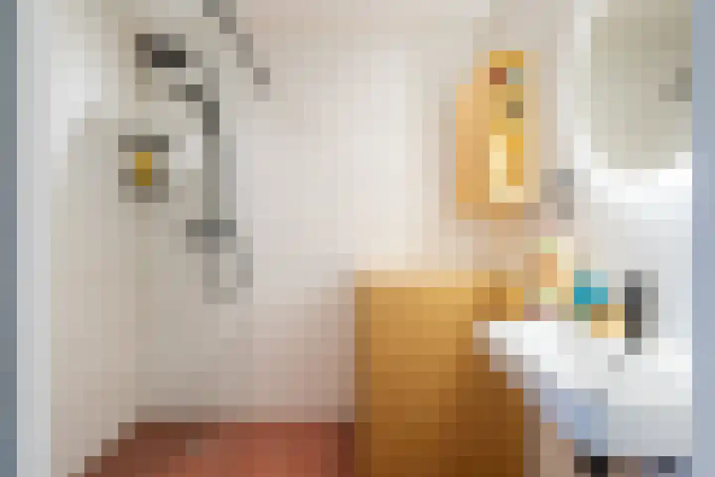 Nieuwe Binnenweg 108 01L Rotterdam thumbnail 34