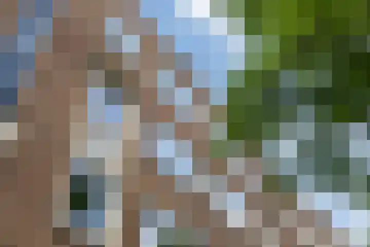 Nieuwe Binnenweg 108 02L Rotterdam thumbnail 35