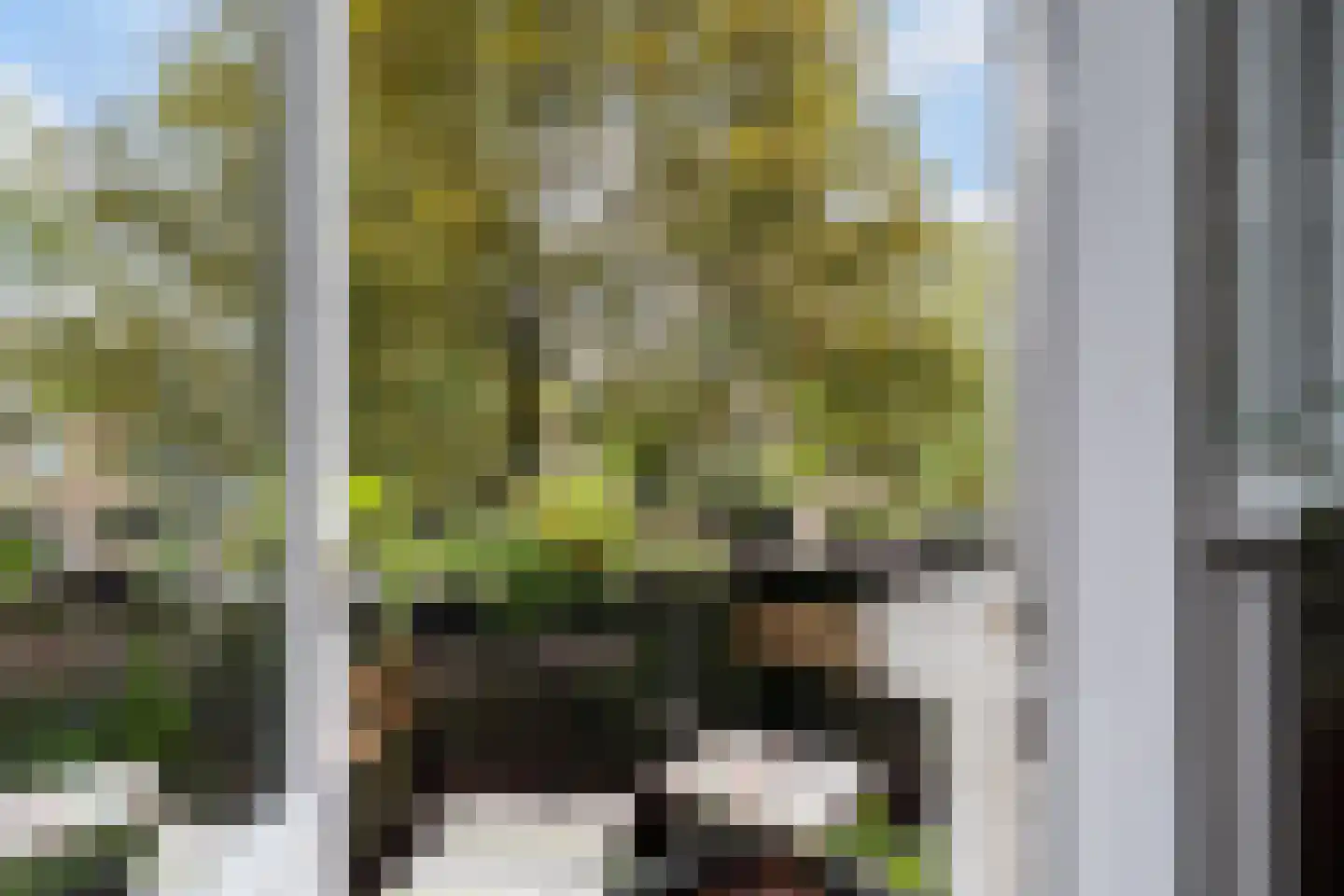 Nieuwe Binnenweg 108 02R Rotterdam thumbnail 31