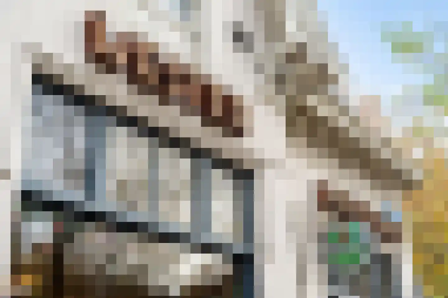 Nieuwe Binnenweg 127 C 02 Rotterdam thumbnail 41
