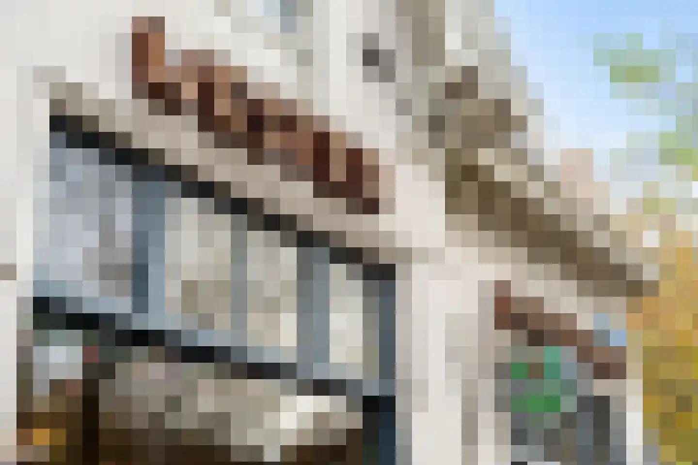 Nieuwe Binnenweg 127 C 03 Rotterdam thumbnail 42