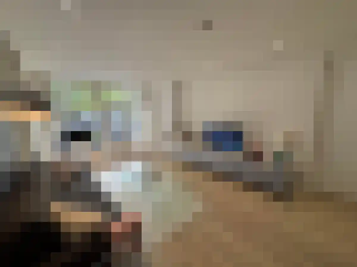 Nieuwe Binnenweg 146 Rotterdam thumbnail 4