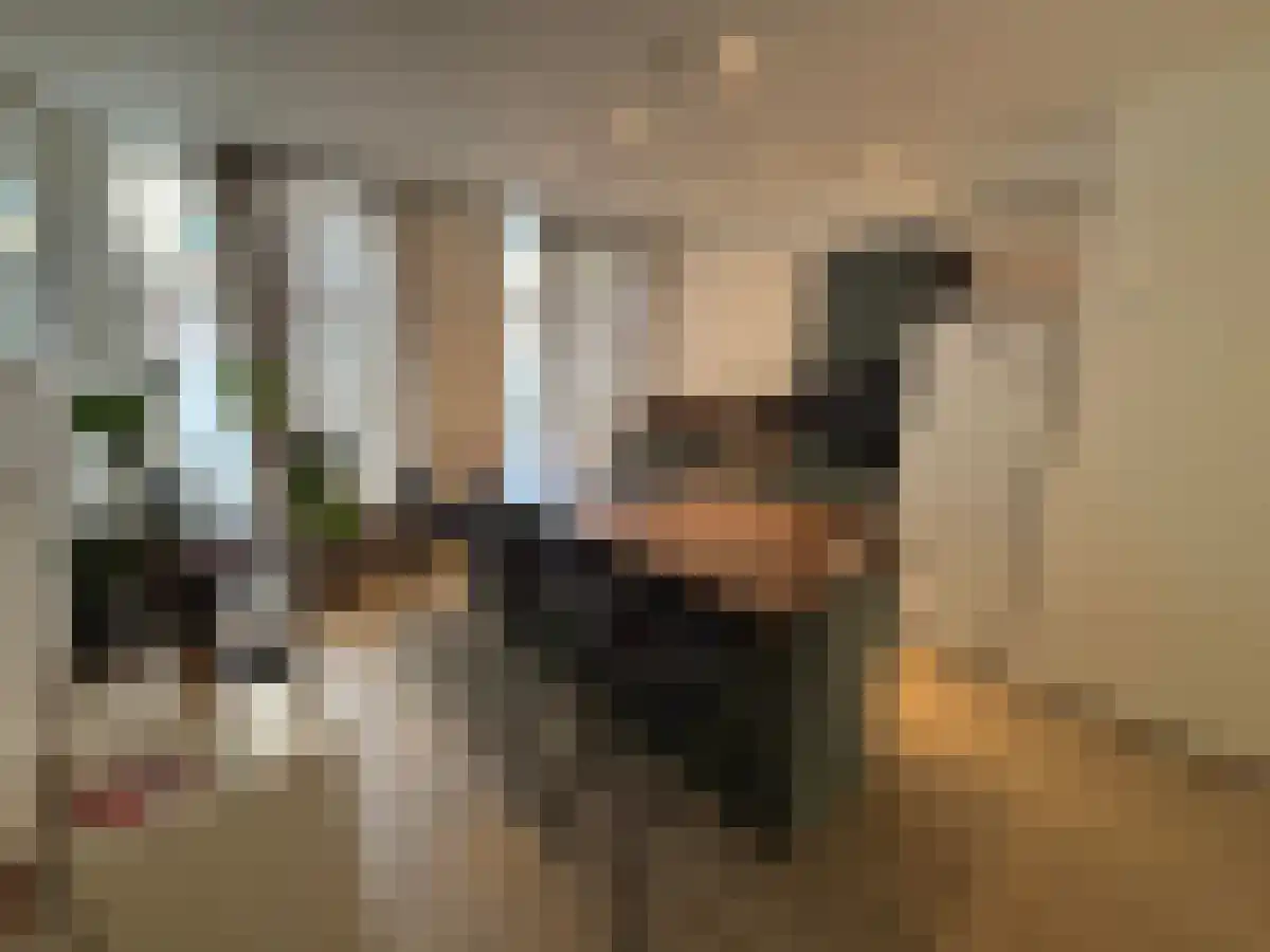Nieuwe Binnenweg 146 Rotterdam thumbnail 5