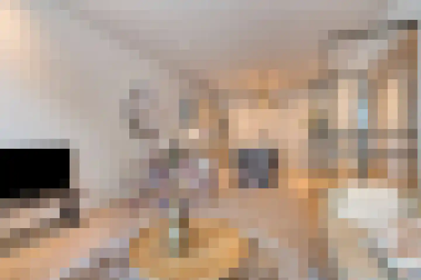 Nieuwe Binnenweg 156 A Rotterdam thumbnail 5