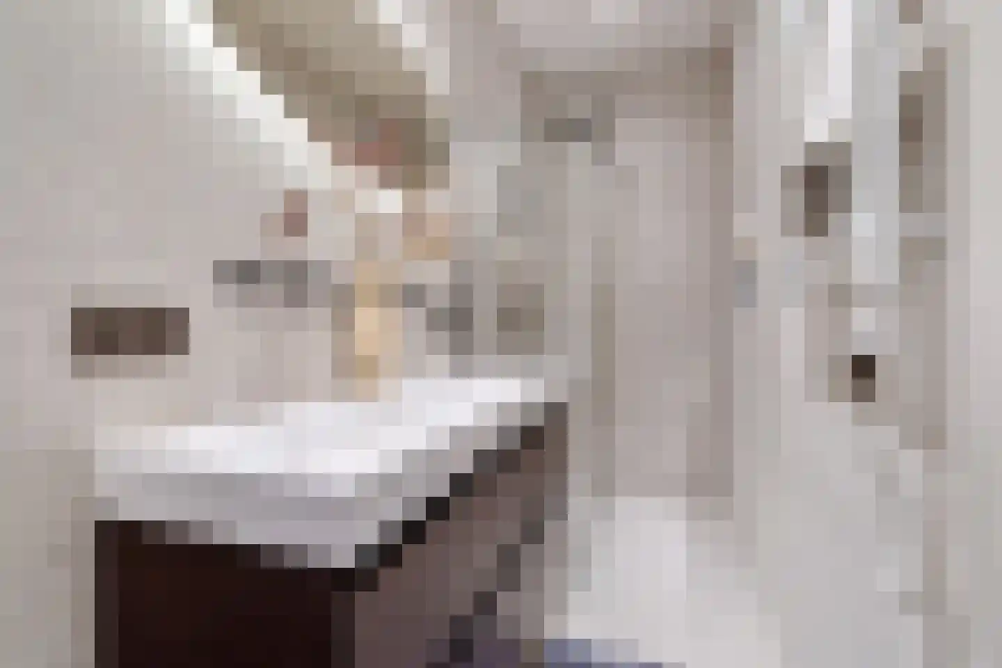 Nieuwe Binnenweg 156 C Rotterdam thumbnail 12