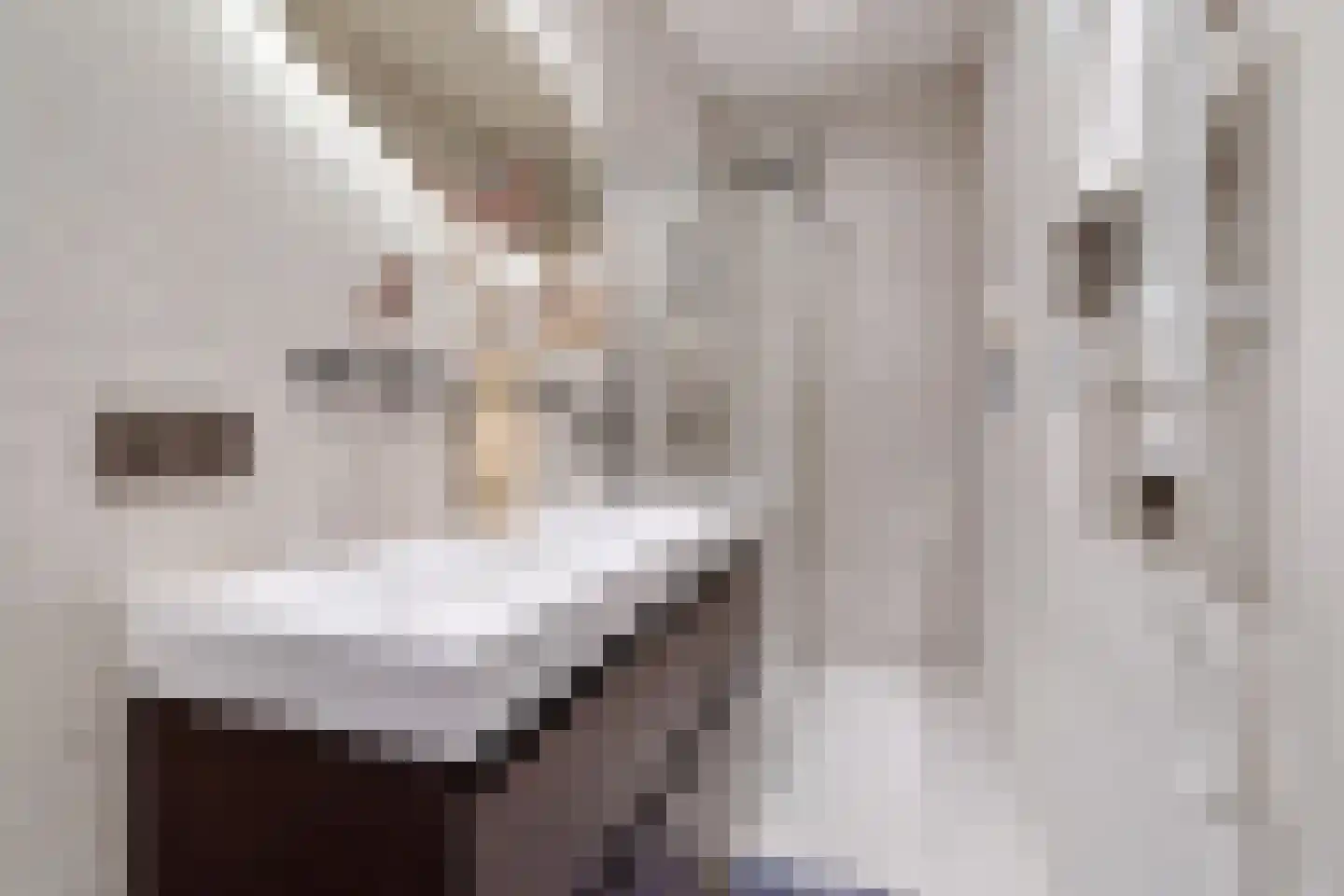 Nieuwe Binnenweg 156 C Rotterdam thumbnail 13