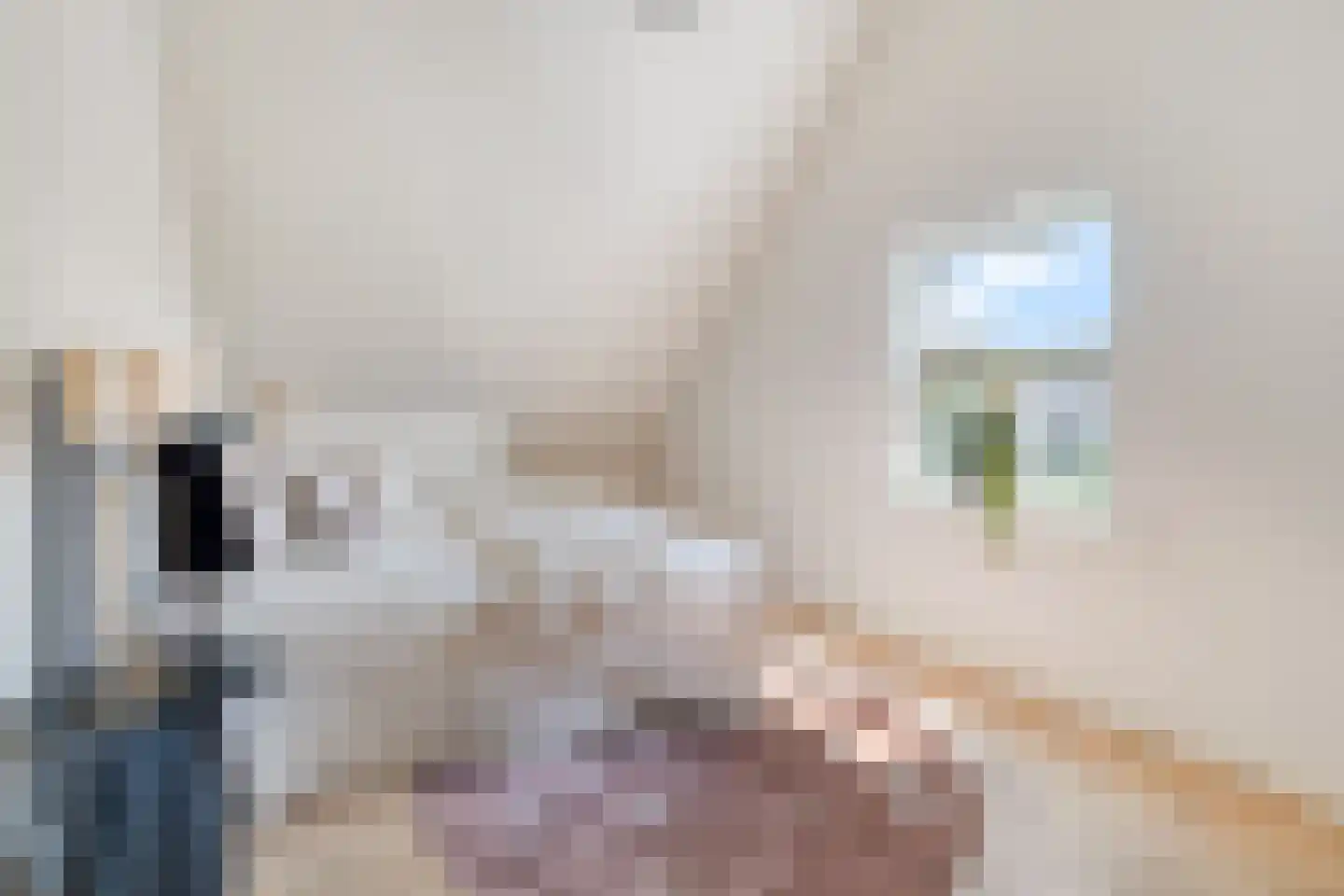 Nieuwe Binnenweg 156 D Rotterdam thumbnail 20