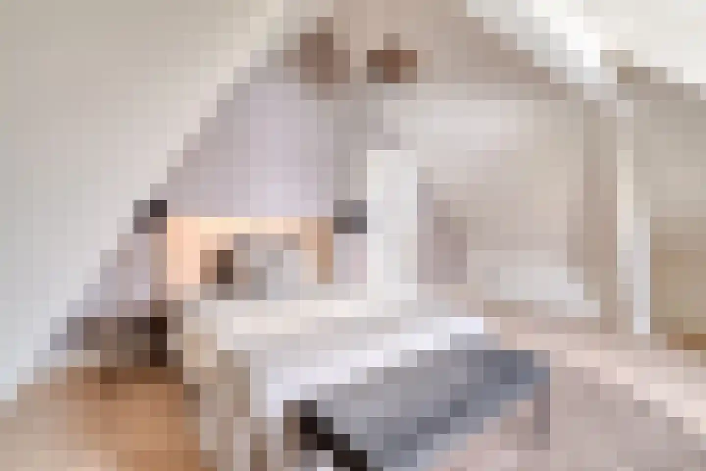 Nieuwe Binnenweg 156 D Rotterdam thumbnail 27