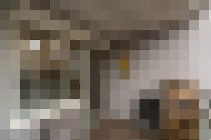 Nieuwe Binnenweg 157 E Rotterdam thumbnail 12