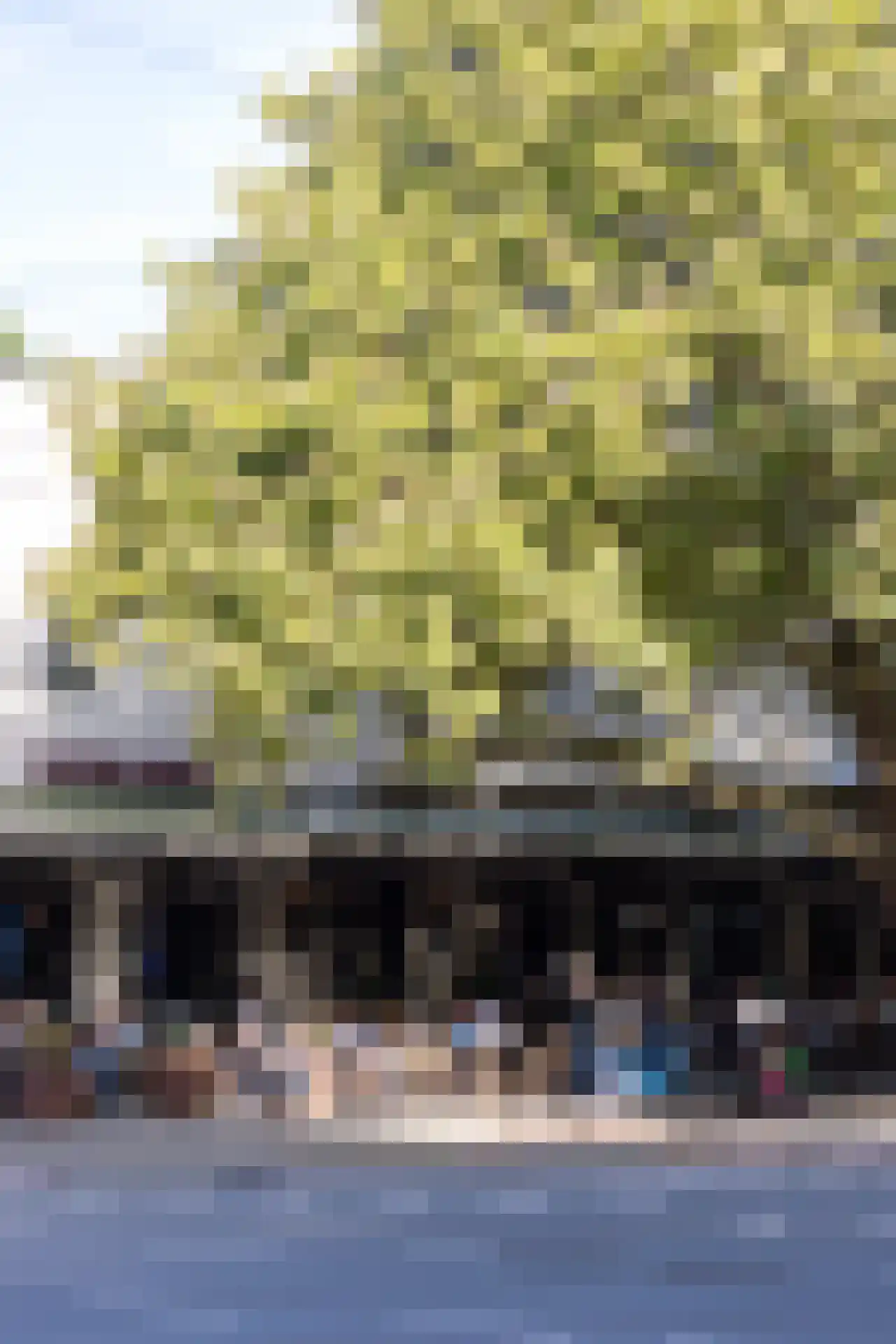 Nieuwe Binnenweg 159 F Rotterdam thumbnail 33