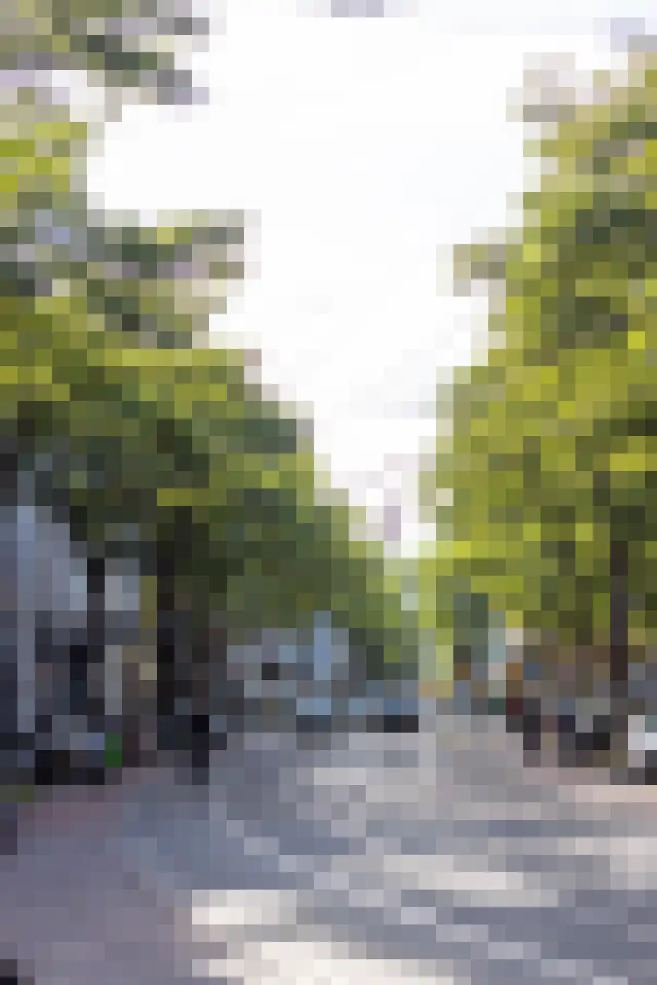 Nieuwe Binnenweg 159 F Rotterdam thumbnail 34