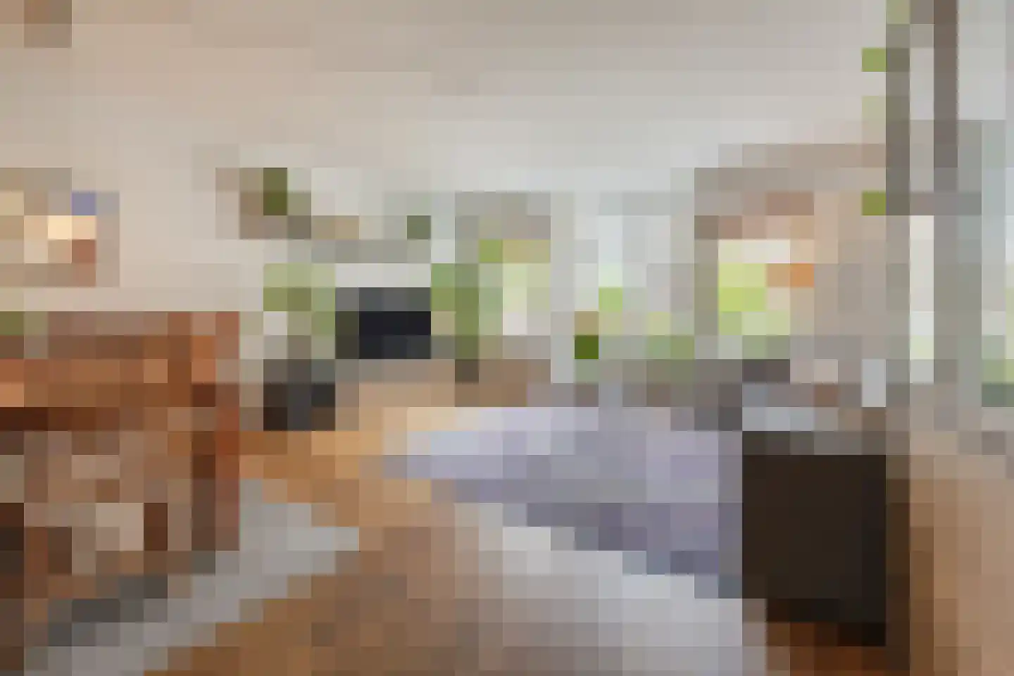 Nieuwe Binnenweg 18 H Rotterdam thumbnail 14