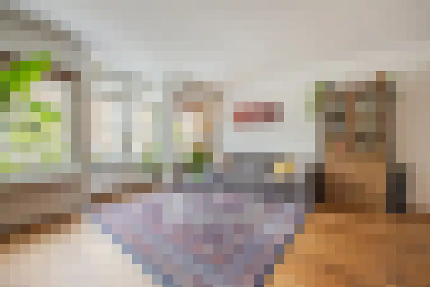 Nieuwe Binnenweg 18 H Rotterdam thumbnail 18