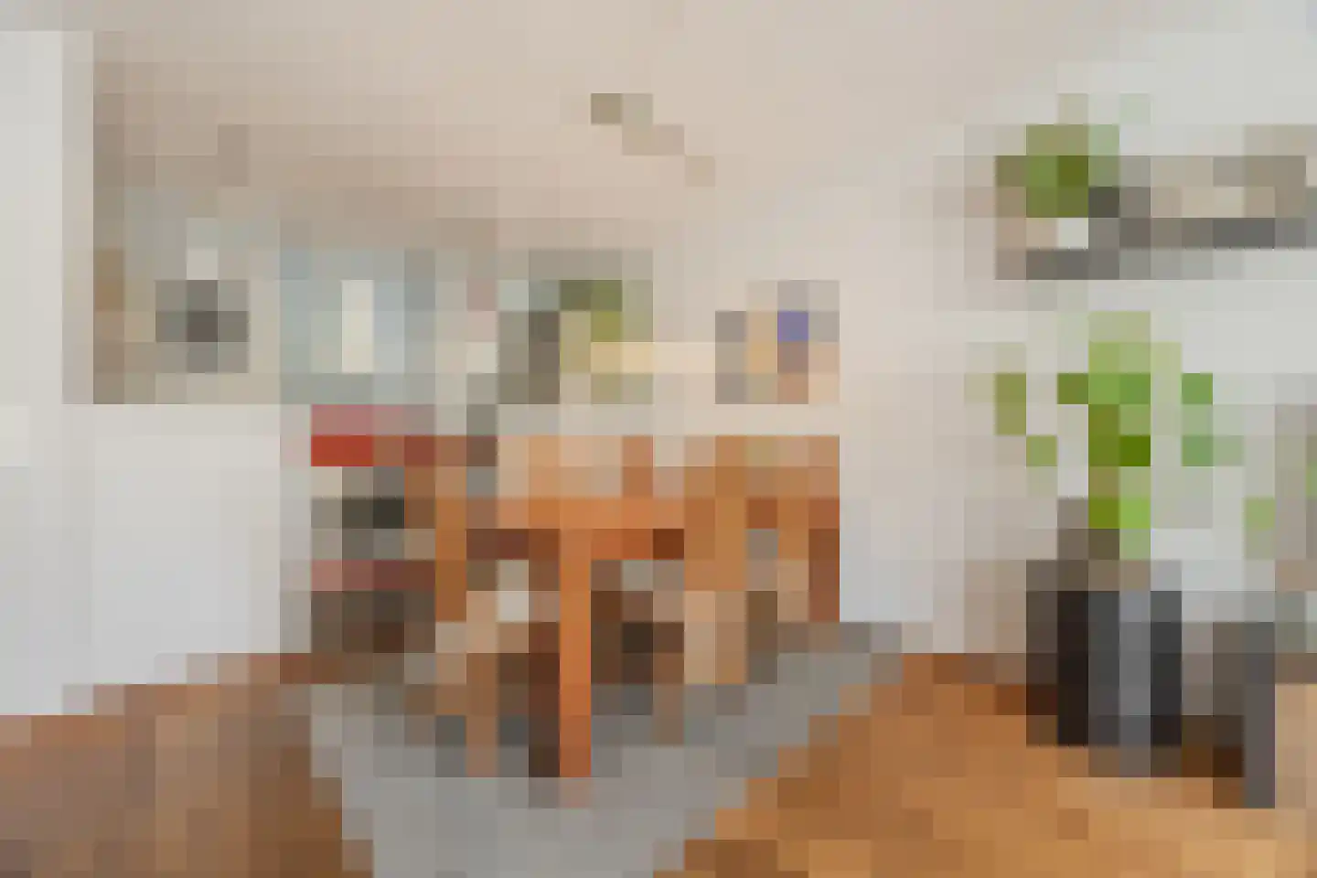 Nieuwe Binnenweg 18 H Rotterdam thumbnail 20