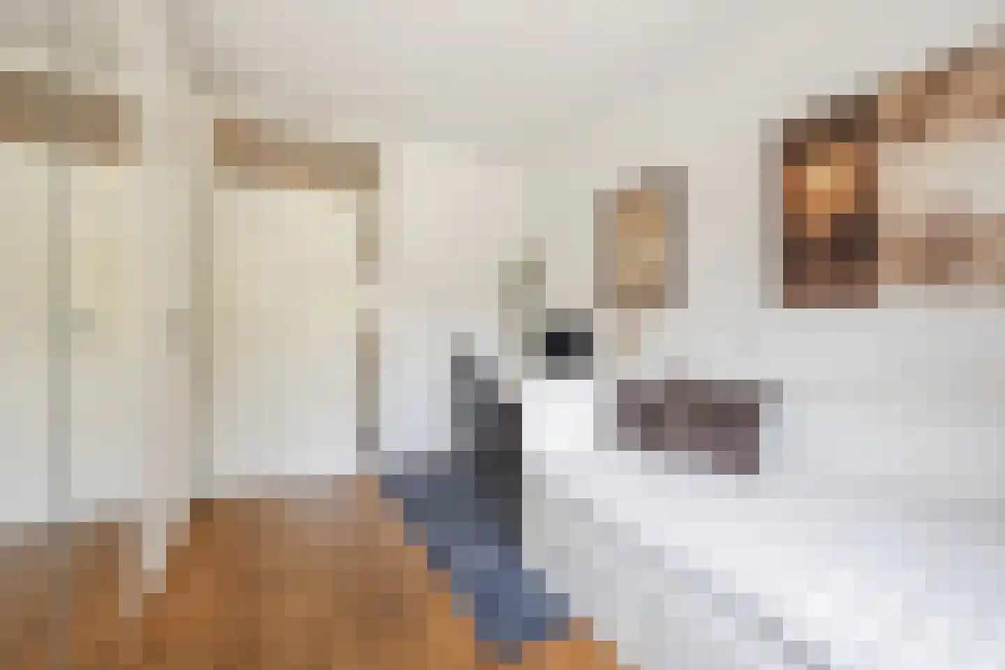 Nieuwe Binnenweg 18 H Rotterdam thumbnail 27