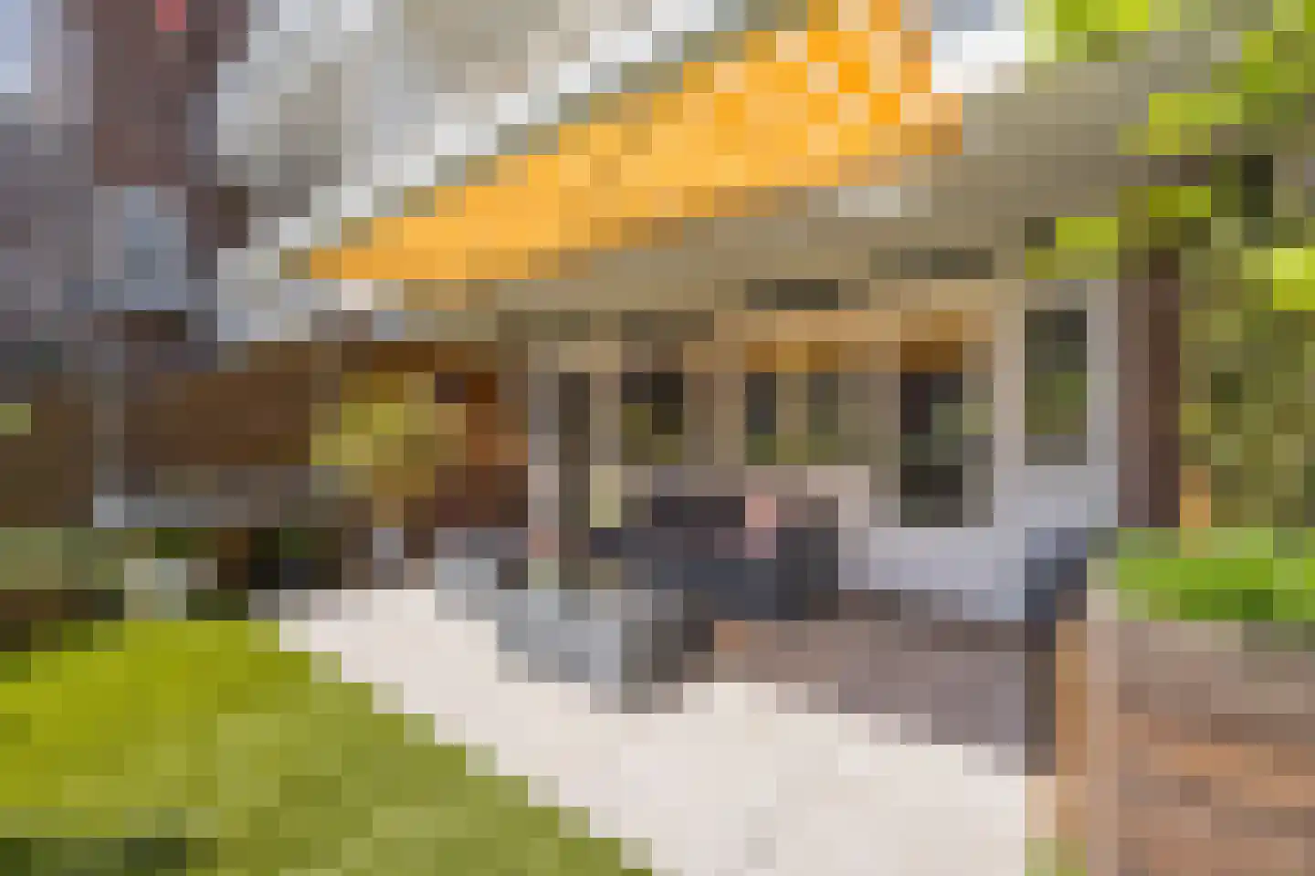 Nieuwe Binnenweg 18 H Rotterdam thumbnail 30
