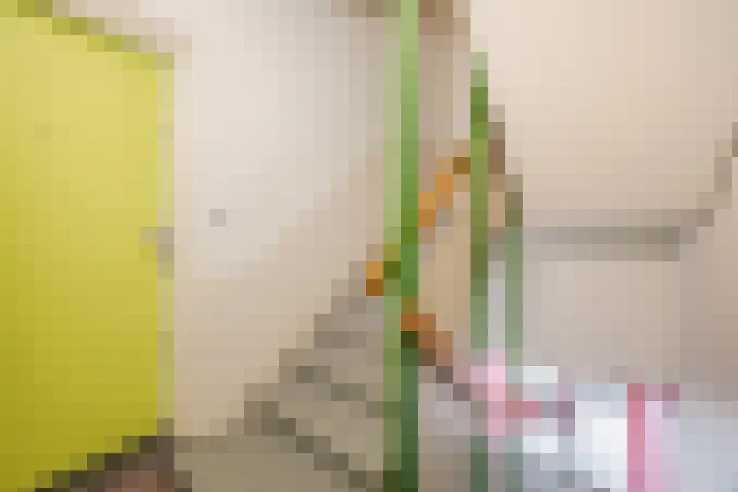 Nieuwe Binnenweg 18 H Rotterdam thumbnail 9