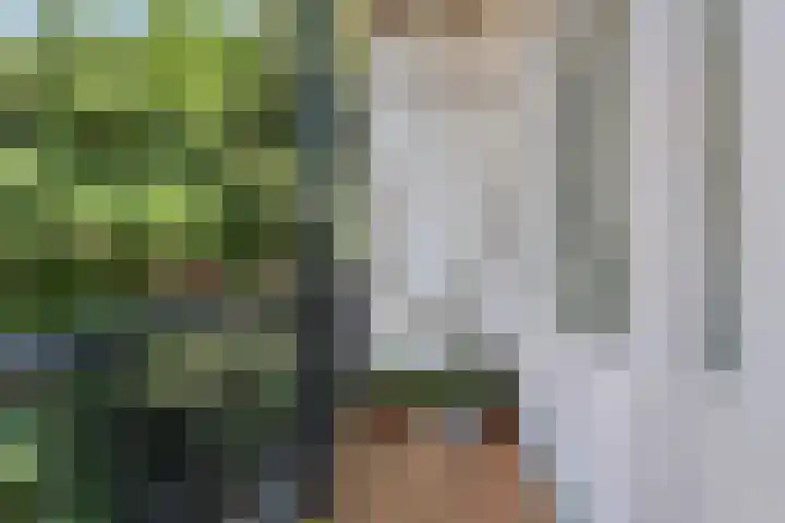 Nieuwe Binnenweg 207 B 01 Rotterdam thumbnail 13