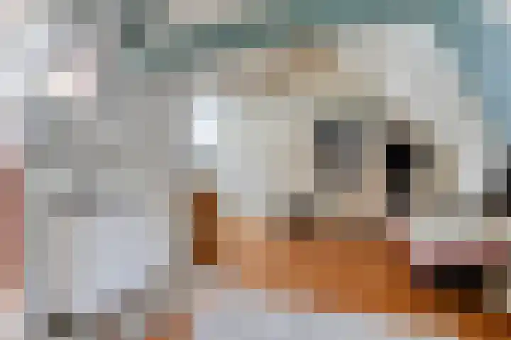Nieuwe Binnenweg 207 B 01 Rotterdam thumbnail 15