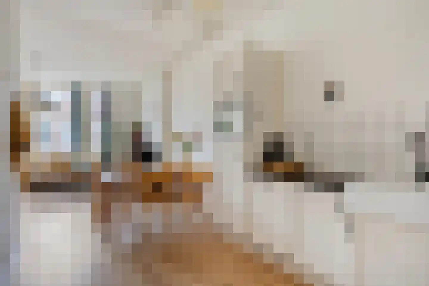 Nieuwe Binnenweg 208 B 02 Rotterdam thumbnail 10