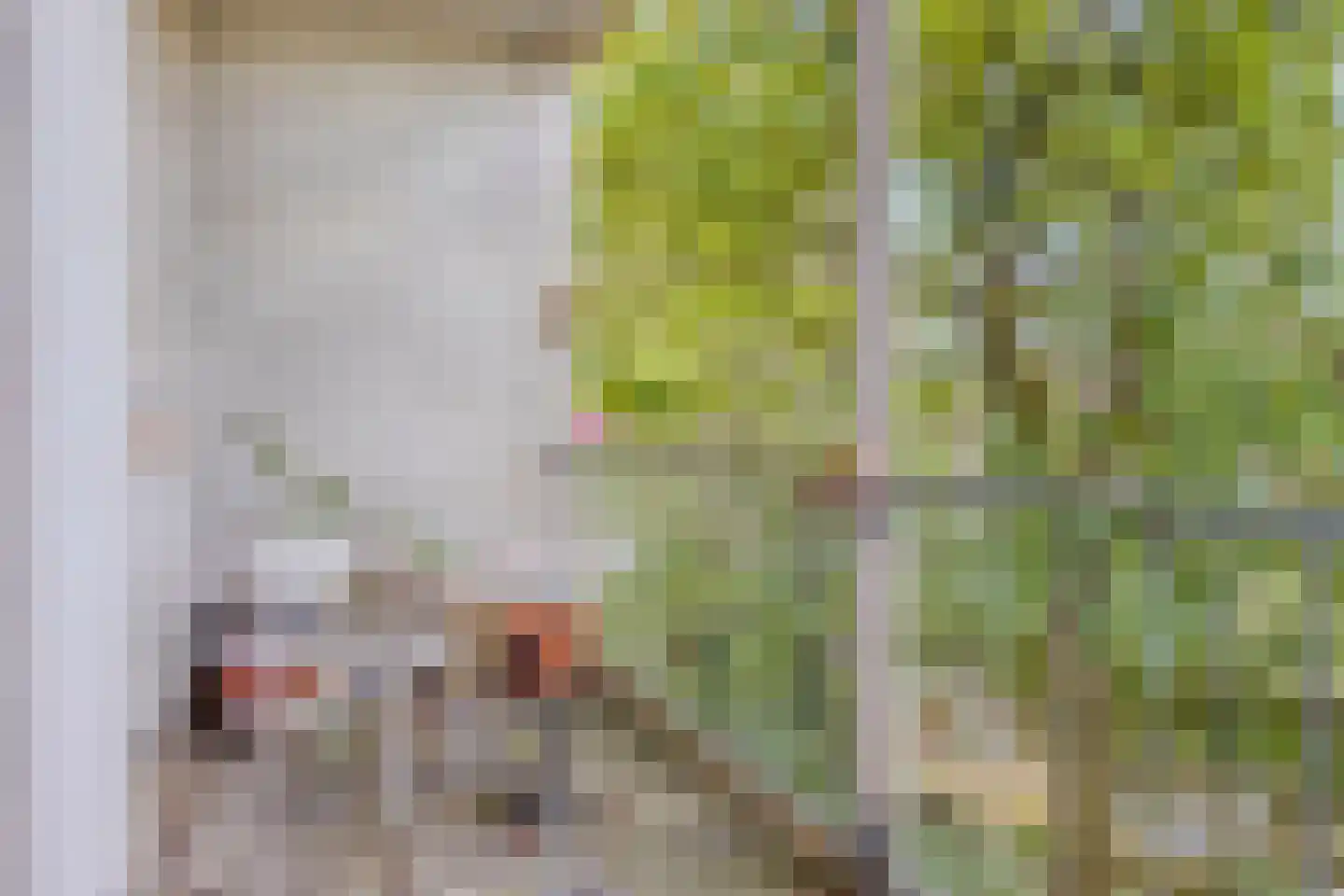 Nieuwe Binnenweg 213 B 02 Rotterdam thumbnail 11