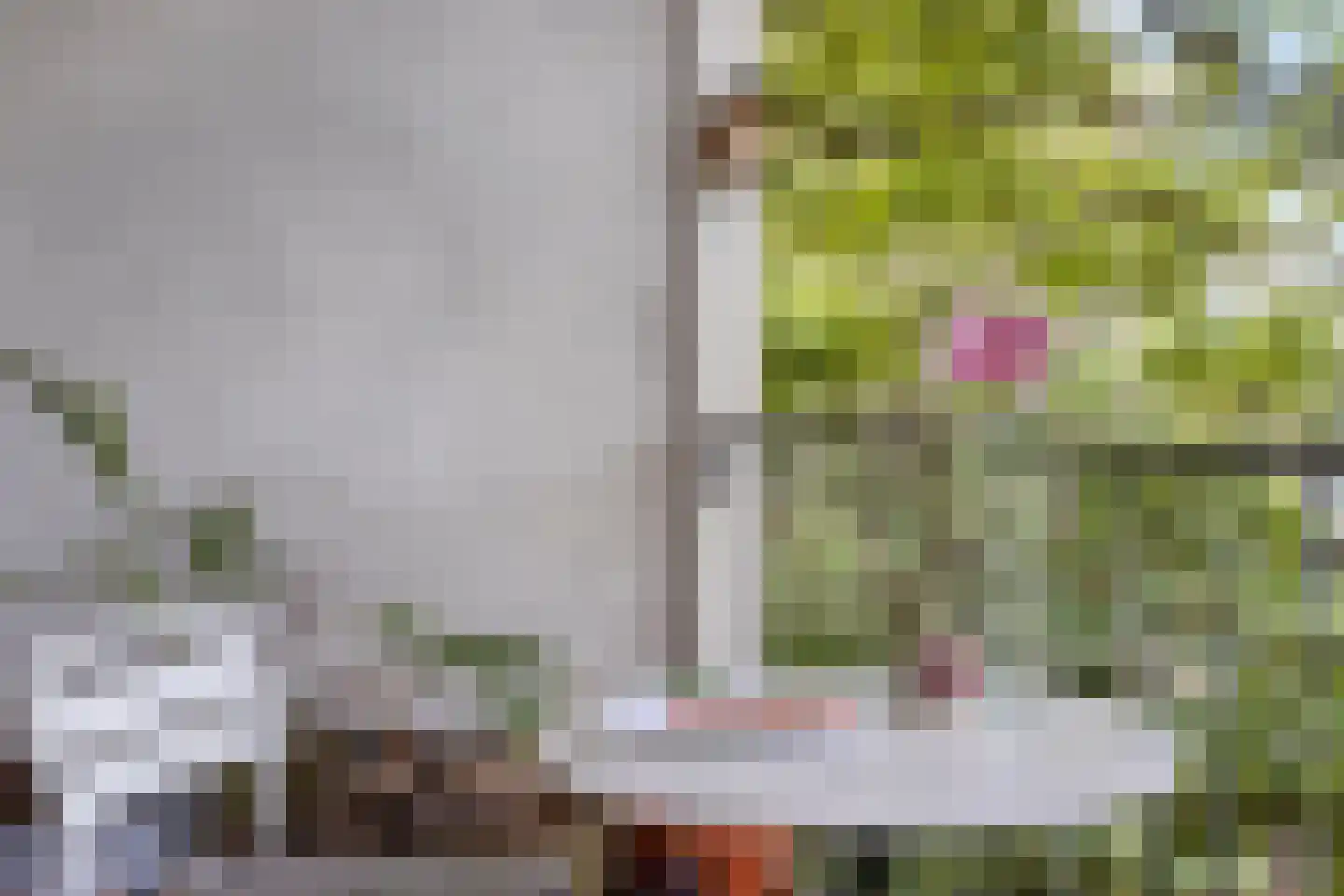 Nieuwe Binnenweg 213 B 02 Rotterdam thumbnail 12